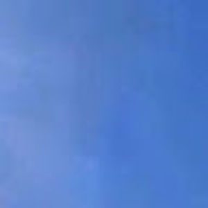 Meet your Posher, Gigi